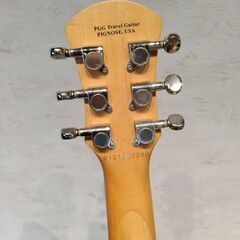 ギター二本、ピグノーズとYAMAHAのFGシリーズ