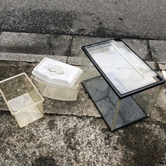 水槽、虫カゴセット