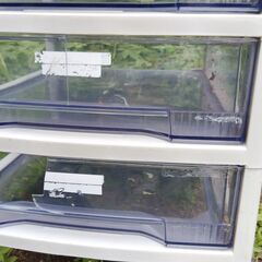 10段　キャビネット　車輪付きますの画像
