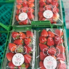 函館産🍓けんたろう入荷しました！✨