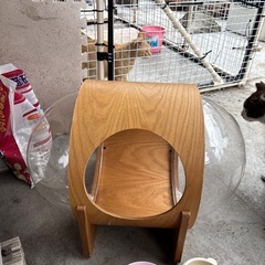 猫のベッド