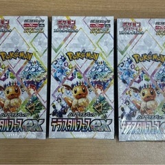 テラスタルフェスex　