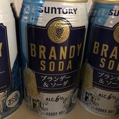 ブランデー&ソーダお酒の画像