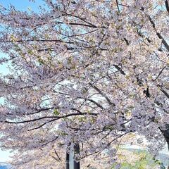 なんでも話せる友達が欲しいだけ🌞