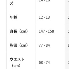 キッズ　ドライフィットシャツの画像