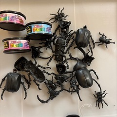 ⑲カブトムシ？ガチャガチャ 
