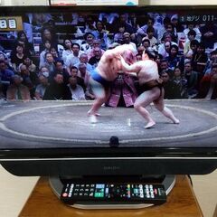 ORION 2018年製 液晶テレビ RN-24SH10 リモコ...