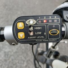 PAS Brace 電動アシスト自転車 スポーツ車の画像
