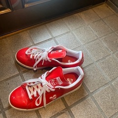 24.5 adidas 中古