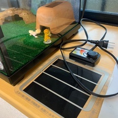 爬虫類飼育ケース譲りますの画像