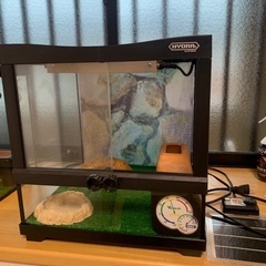 爬虫類飼育ケース譲ります