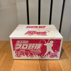 プロ野球チップス