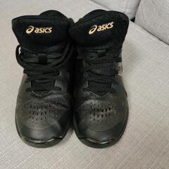 ASICS アシックス レディゲルフェアリー8 24.5cm ミニバス 女バスの画像