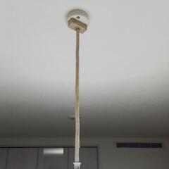 照明　蛍光灯(8～10畳)の画像