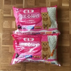 急募‼️今月末まで！固まるネコ砂17L 　2個セット