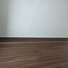 ピクチャーレール　3メートル