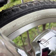 女の子 20インチ自転車の画像