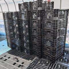 コンテナ　サンテナー　カゴ　40ケ有り　バラ売り可