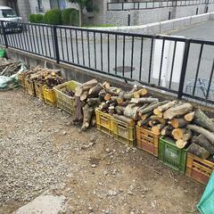 薪（幹　まき）の画像
