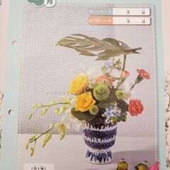 Summerプリンセスキッズの画像
