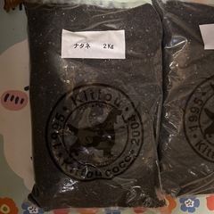 小鳥の餌　ナタネ単品　4キロの画像