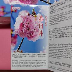 桜の通り抜け2020プルーフ貨幣セット　銀メダル入り　春日井　の画像