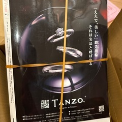ゼクシィ首都圏7 付録の保冷バッグなしの画像