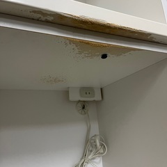 北海道  帯広  キッチンボード  食器棚  家具  収納家具  キッチン収納  モノココ  モノココ帯広店の画像