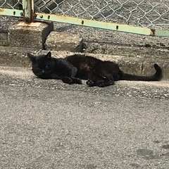 美味しいお店知ってるひとー