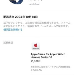 Apple Watch Hermès Series 10 （GP...
