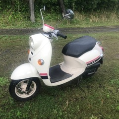 ヤマハビーノ50cc