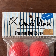 トレーニングボールの画像