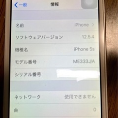 iPhone5s