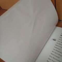 【最終日】DWEのPlay Along! 他英語のCD2枚の画像