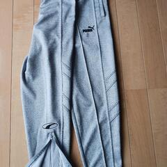 PUMAジャージ上下の画像