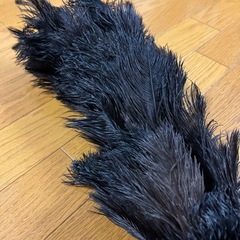 羽根ほうきの画像