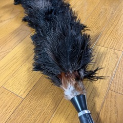 羽根ほうきの画像