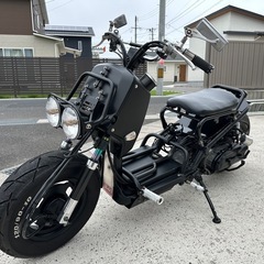 ホンダ  AF58  ズーマー　ローダウン、ロンホイなどカスタム多数    の画像