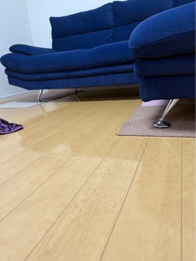 アルビノソファー値下げ