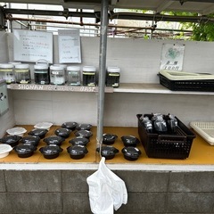 5/25湘南めだか無人販売所　6/1はイベント参加の為お休みです