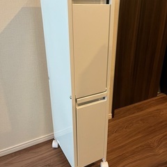 【交渉中】スチール製ダストボックス 9リットルタイプ２分別