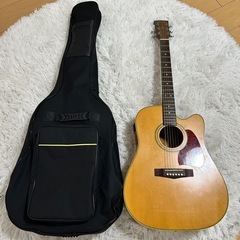 Ibanez ARTWOOD AW-10CE  HAND CRAFT アコースティックギターの画像