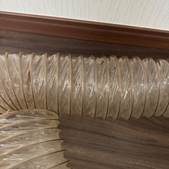 フェレットトンネル