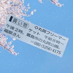 丸岡公園フリーマーケット🌸5/25晴予報🌸出店します