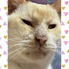 【大至急】幸せにしてあげてください
