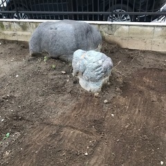 5000円お支払いします。