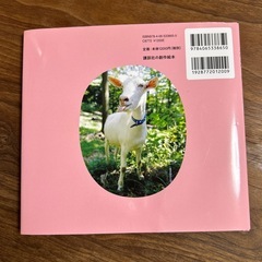 ポポのいちにちの画像