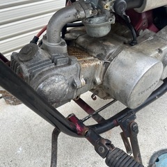 HONDA JAZZ 50cc 国産エンジン　始動確認　バイク　中古　の画像