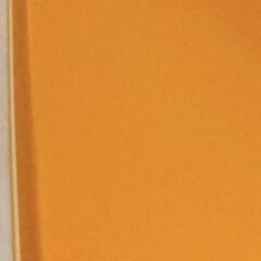 ボディボードの画像