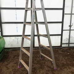 脚立　６段